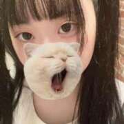 藤堂ユリカ 会いに来てほしい3日間🐰 メイドin中野（東京ハレ系）