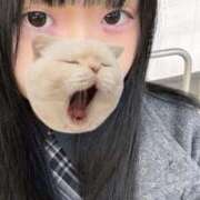 藤堂ユリカ 次回は12/7です❕ メイドin中野（東京ハレ系）