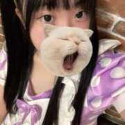 ヒメ日記 2025/12/13 17:54 投稿 藤堂ユリカ メイドin中野（東京ハレ系）