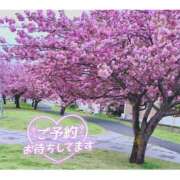 ヒメ日記 2026/04/19 10:51 投稿 のぞみ 熟女の風俗最終章 宇都宮店