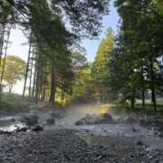 ヒメ日記 2025/09/23 16:56 投稿 みくり 美女のカタチ
