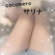 ヒメ日記 2025/11/05 17:16 投稿 サリナ COCOMERO（ココメロ）