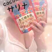 ヒメ日記 2025/11/12 12:16 投稿 サリナ COCOMERO（ココメロ）
