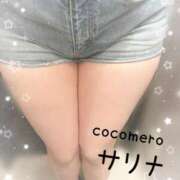 ヒメ日記 2025/11/15 14:31 投稿 サリナ COCOMERO（ココメロ）