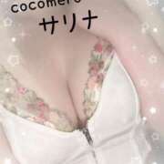 ヒメ日記 2025/11/17 14:31 投稿 サリナ COCOMERO（ココメロ）