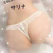 ヒメ日記 2025/12/11 11:46 投稿 サリナ COCOMERO（ココメロ）