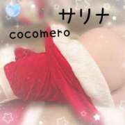 ヒメ日記 2025/12/17 06:16 投稿 サリナ COCOMERO（ココメロ）