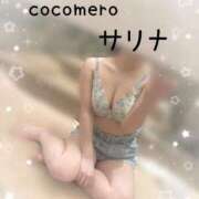 ヒメ日記 2025/12/22 15:31 投稿 サリナ COCOMERO（ココメロ）