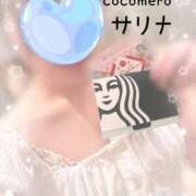 ヒメ日記 2025/12/31 13:31 投稿 サリナ COCOMERO（ココメロ）