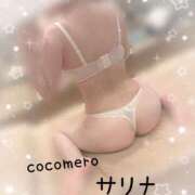 ヒメ日記 2026/02/07 13:16 投稿 サリナ COCOMERO（ココメロ）