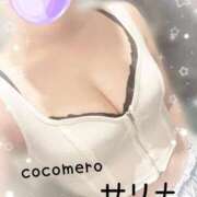 ヒメ日記 2026/02/15 19:01 投稿 サリナ COCOMERO（ココメロ）