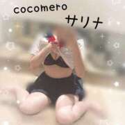 ヒメ日記 2026/02/16 12:31 投稿 サリナ COCOMERO（ココメロ）