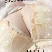 ヒメ日記 2026/03/06 14:16 投稿 サリナ COCOMERO（ココメロ）