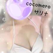 ヒメ日記 2026/03/11 06:16 投稿 サリナ COCOMERO（ココメロ）