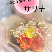 ヒメ日記 2026/04/03 15:46 投稿 サリナ COCOMERO（ココメロ）