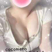 ヒメ日記 2026/04/07 09:46 投稿 サリナ COCOMERO（ココメロ）