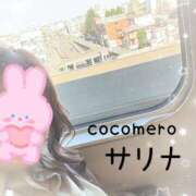 ヒメ日記 2026/04/08 15:16 投稿 サリナ COCOMERO（ココメロ）