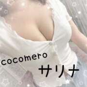 ヒメ日記 2026/04/12 07:46 投稿 サリナ COCOMERO（ココメロ）