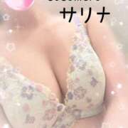 ヒメ日記 2026/04/12 15:16 投稿 サリナ COCOMERO（ココメロ）