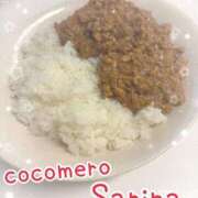 ヒメ日記 2026/04/15 19:31 投稿 サリナ COCOMERO（ココメロ）