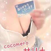 ヒメ日記 2026/04/22 15:16 投稿 サリナ COCOMERO（ココメロ）