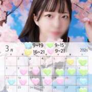 ヒメ日記 2026/03/14 12:22 投稿 かな プレミアム(福原)