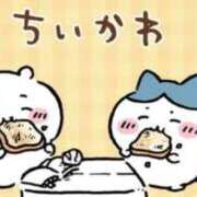 ヒメ日記 2026/06/09 15:12 投稿 かな プレミアム(福原)
