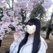 ヒメ日記 2026/03/24 20:01 投稿 みい ナイトヴィーナス