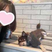 ヒメ日記 2025/11/19 17:29 投稿 みこ デザインプリズム新宿