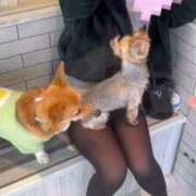 みこ 🐶 デザインプリズム新宿