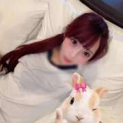 ヒメ日記 2026/09/11 21:23 投稿 りりあ E+アイドルスクール船橋店