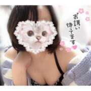 ヒメ日記 2025/09/14 12:08 投稿 鏡かえで セレブ Rex