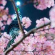 ヒメ日記 2026/04/14 19:15 投稿 まゆか One More 奥様 小岩店