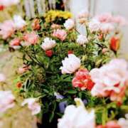 ヒメ日記 2025/09/22 23:55 投稿 あかり 渋谷蘭の会