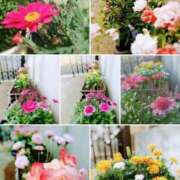 ヒメ日記 2025/10/06 12:45 投稿 あかり 渋谷蘭の会