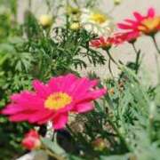 ヒメ日記 2025/10/06 13:05 投稿 あかり 渋谷蘭の会