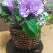 ヒメ日記 2025/10/06 19:15 投稿 あかり 渋谷蘭の会