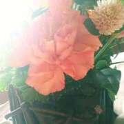 ヒメ日記 2025/10/07 09:55 投稿 あかり 渋谷蘭の会