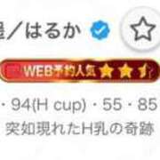 遥／はるか 特大感謝🫶🏻 E+アイドルスクール新宿・歌舞伎町店