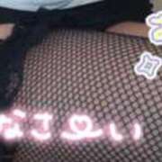 まほ おやすみなさい♡ セレブクエスト-koshigaya-