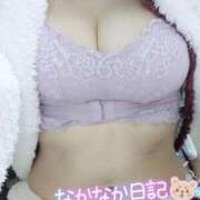 まほ 多忙 セレブクエスト-koshigaya-