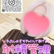 ヒメ日記 2025/11/24 00:48 投稿 りえ 浜松人妻なでしこ(カサブランカグループ)