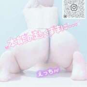 ヒメ日記 2025/11/24 02:40 投稿 りえ 浜松人妻なでしこ(カサブランカグループ)