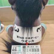 ヒメ日記 2025/12/02 19:08 投稿 りえ 浜松人妻なでしこ(カサブランカグループ)