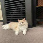 ヒメ日記 2025/11/12 13:25 投稿 ちよ Beppin house