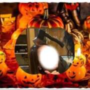 ヒメ日記 2025/10/31 17:13 投稿 前島(まえしま) 人妻出逢い会 百合の園 山の手本店