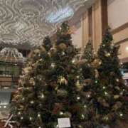 ヒメ日記 2025/11/19 13:47 投稿 前島(まえしま) 人妻出逢い会 百合の園 山の手本店