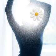 ヒメ日記 2025/11/20 11:59 投稿 前島(まえしま) 人妻出逢い会 百合の園 山の手本店