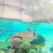 ヒメ日記 2025/11/29 16:47 投稿 前島(まえしま) 人妻出逢い会 百合の園 山の手本店