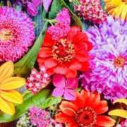 ヒメ日記 2025/08/30 21:37 投稿 りの 素人妻達☆マイふぇらレディー